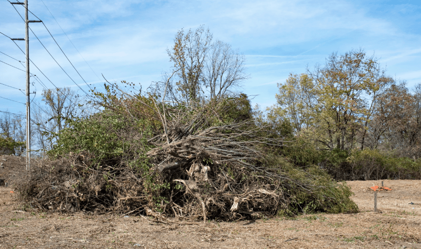 Land Clearing